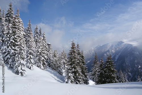 Winter in Godeanu Mountains, Carpathians, Romania, Europe © Rechitan Sorin