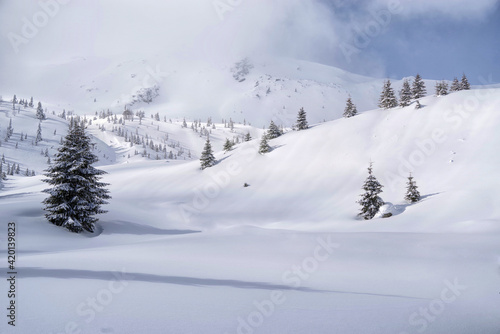 Winter in Godeanu Mountains, Carpathians, Romania, Europe