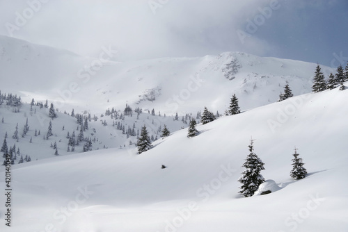 Winter in Godeanu Mountains, Carpathians, Romania, Europe