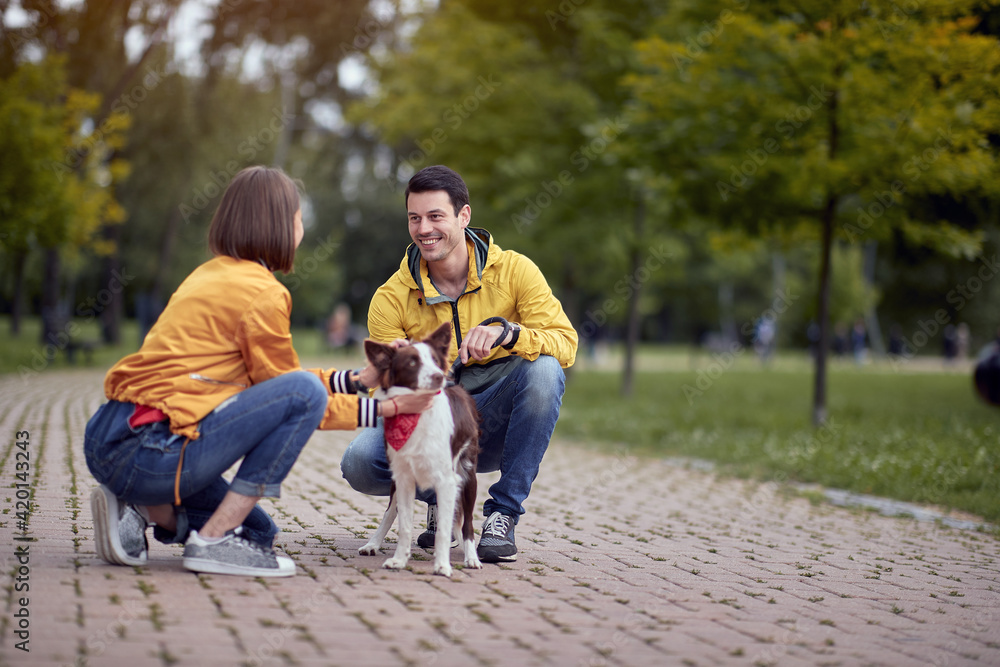Fototapeta premium young people getting know each other by talking about pets in autumn park