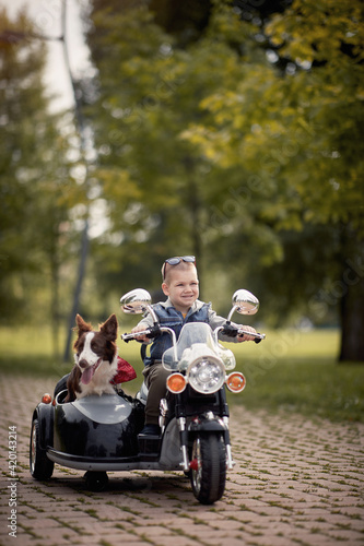 cute boy enjoying in autumn park, driving electrical motorcycle toy with sidecar and his dog in it © luckybusiness