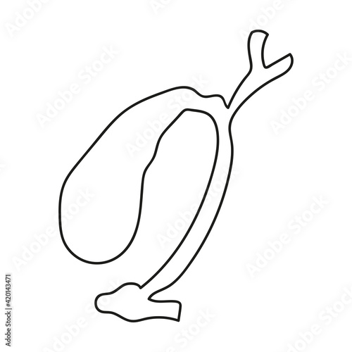 gallbladder in doodle style  organ of human