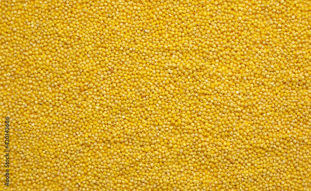 Millet groats closeup. Full frame, top view