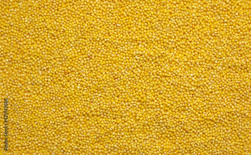 Millet groats closeup. Full frame  top view