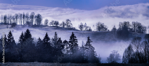 morning fog and a forest © Vera Kuttelvaserova