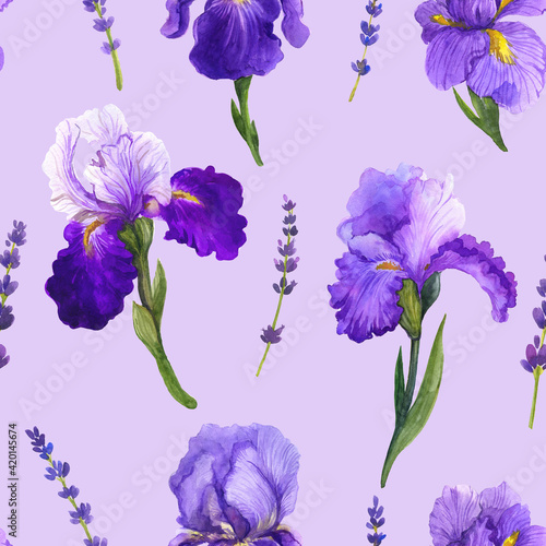 Fototapeta Naklejka Na Ścianę i Meble -  Watercolor irises, irises watercolor, watercolor sketch with flowers, spring irises flowers