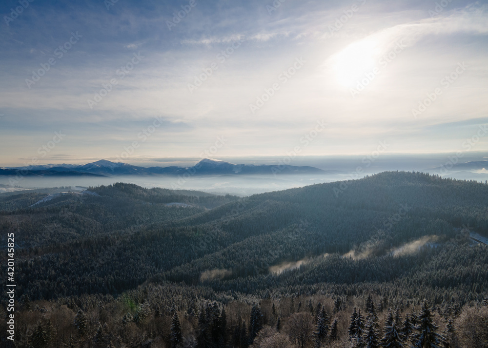 Beautiful aerial view of the dense forest and the peaks of the Carpathian Mountains covered with the first snow on a sunny winter day. Tourist directions and routes in Western Ukraine.