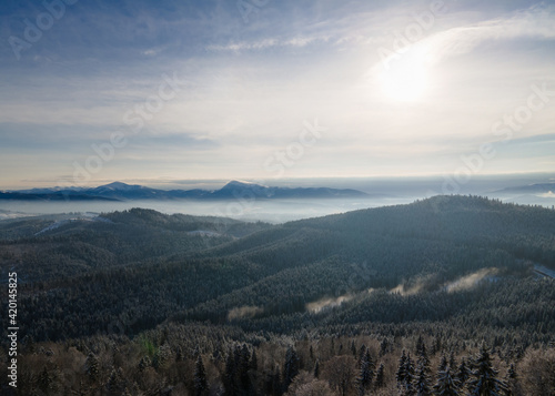 Beautiful aerial view of the dense forest and the peaks of the Carpathian Mountains covered with the first snow on a sunny winter day. Tourist directions and routes in Western Ukraine.