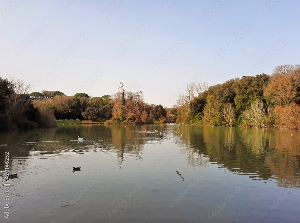 vista del laghetto a villa pamphili a roma, in italia
