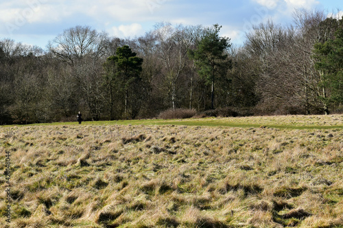 Woman jogging in the field on a sunny spring day