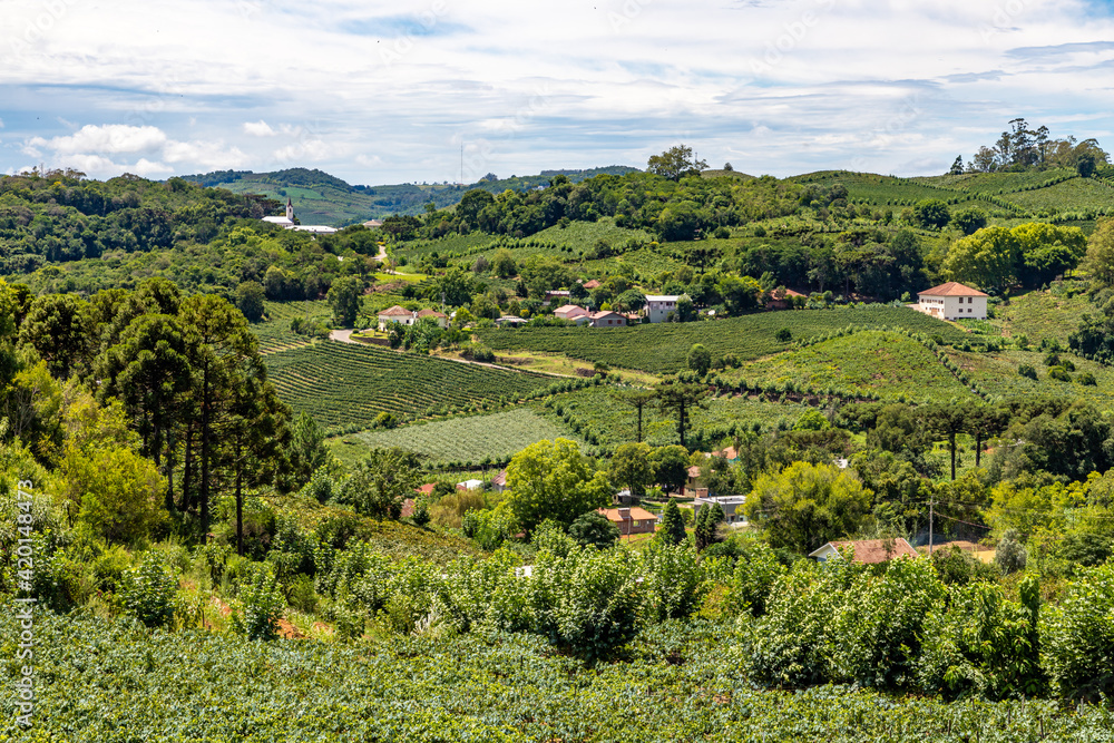 Village around vineyards