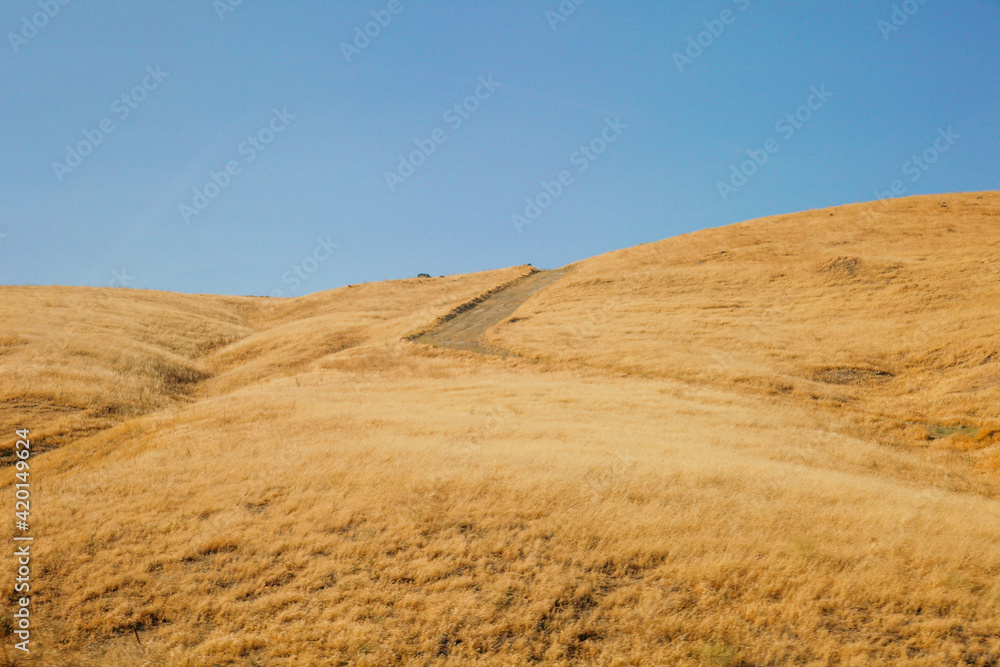 Golden rolling California hills. Beautiful landscape view from car.
