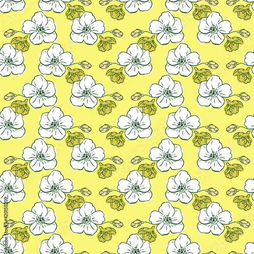 Floral seamless spring pattern. Print of large light flowers and small buds, yellow background.