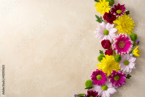 Spring flowers border on pink background made from fresh Chrysanthemum. Copy space. Greeting card template.