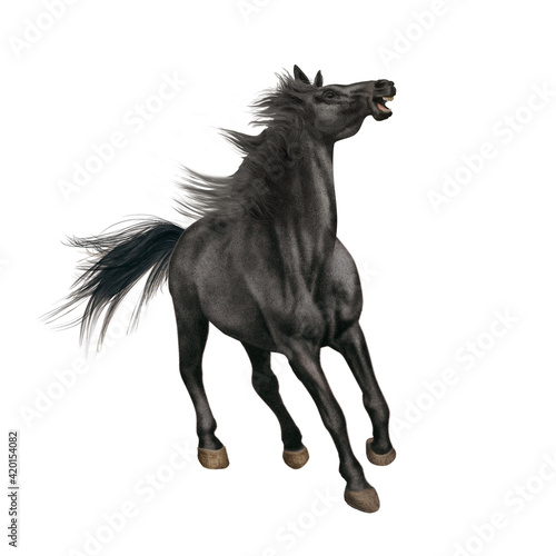 cheval  isol    noir  animal    talon  blanc  courir  de face  galop  ferme  chevalin  amoureux des chevaux  course  mammif  re  arabe  sauvage  crin  nature  jument  poney  puissance  andalou  brun  cou