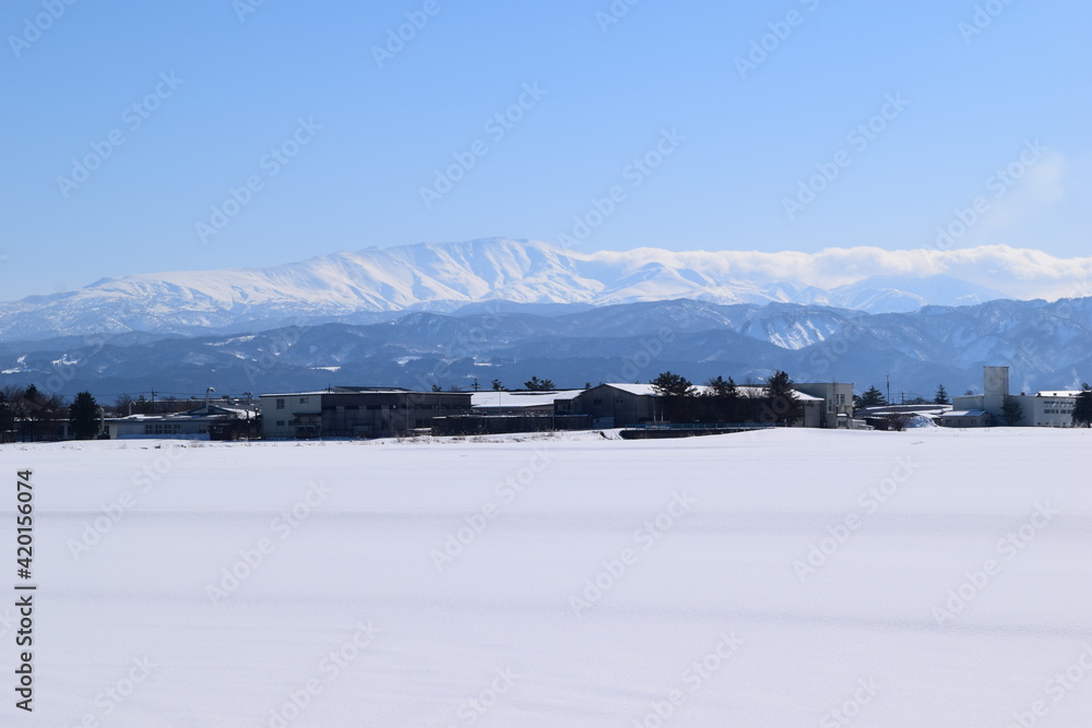 Fototapeta premium 月山（庄内平野から望む）／ 日本百名山 新日本百名山 花の百名山 新・花の百名山 名水百選 水源の森百選