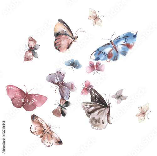  Flowers watercolor illustration.Manual composition.Big Set watercolor elements，Design for textile, wallpapers，Element for design,Greeting card © TAOZHU GONG