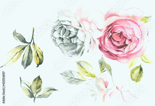  Flowers watercolor illustration.Manual composition.Big Set watercolor elements   Design for textile  wallpapers   Element for design Greeting card