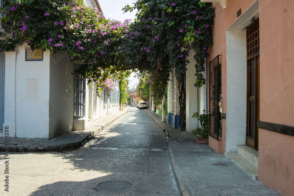 Fototapeta premium Calles y casa con arquitectura colonial en Cartagena Colombia