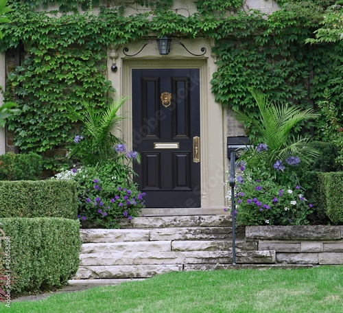 Elegant black front door with brass knocker of ivy covered house