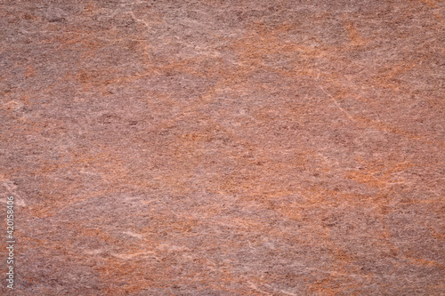 Wallpaper Mural Shadow backgroun Portrait texture Portrait backdrop Torontodigital.ca