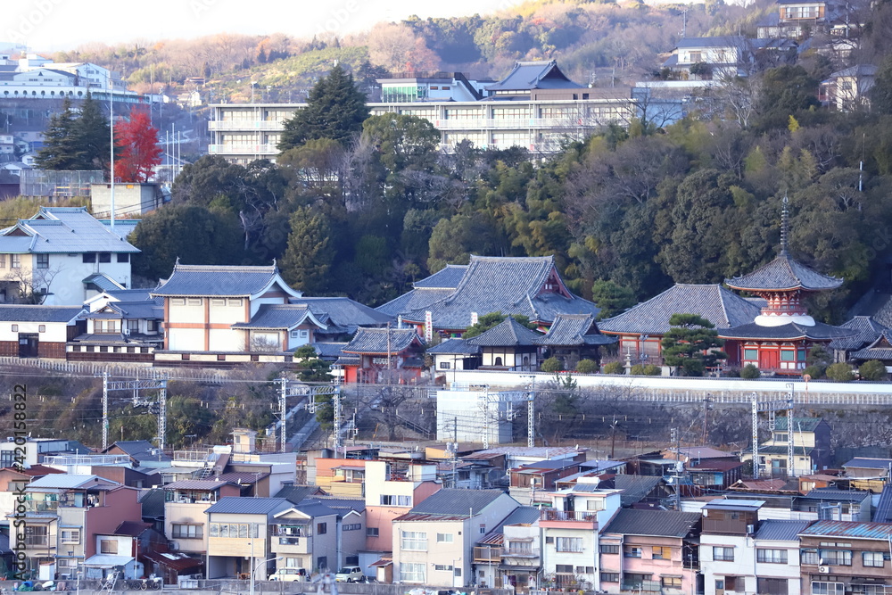 Fototapeta premium 広島尾道大橋より、古寺の大物。