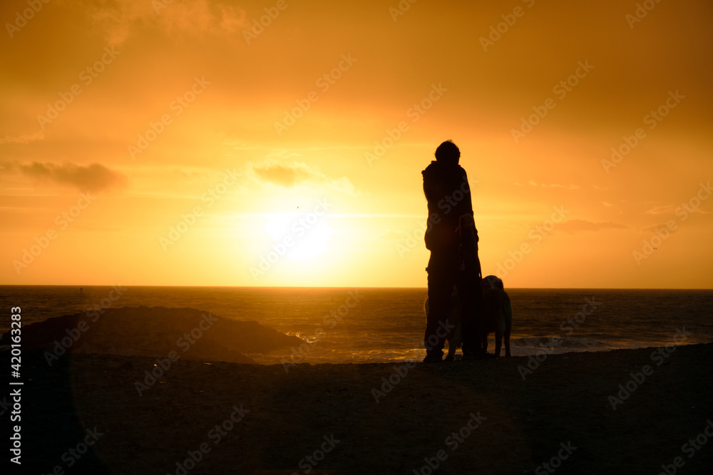 Silhouette of a man and his dog  overlooking rocks and ocean at sunset