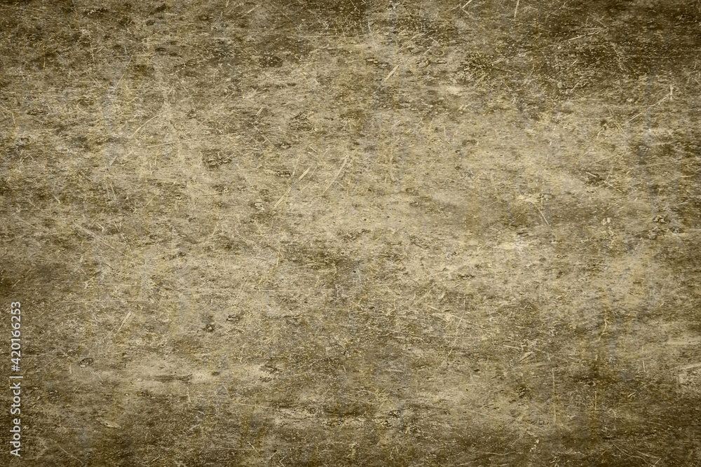 Shadow backgroun Portrait texture Portrait backdrop Shadow backgroun Portrait texture Portrait backdrop