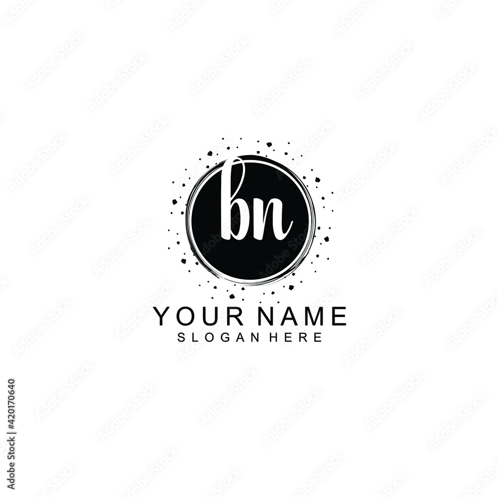 BN beautiful Initial handwriting logo template