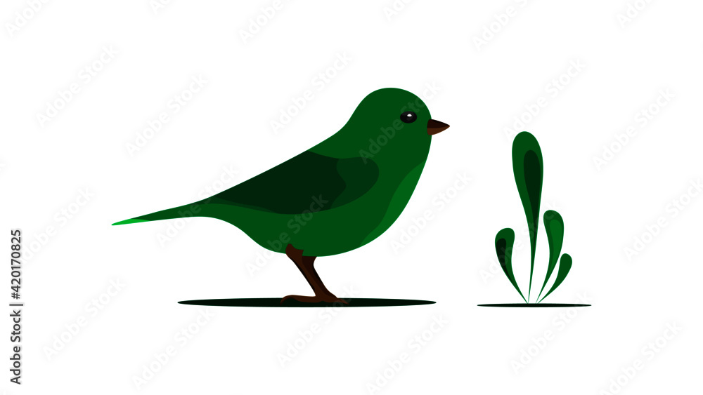 Vector illustration of a bird. Vector illustration of a bird.