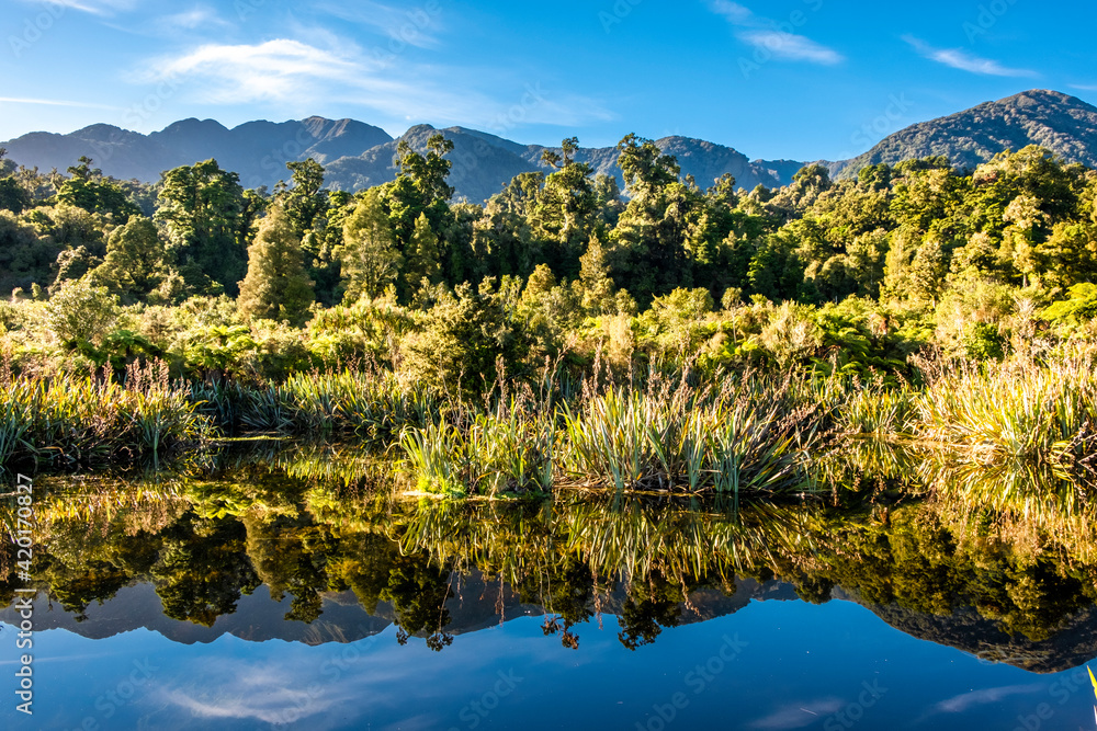 Beautiful mirror lake in the middle of native forest. South Island, New Zealand.