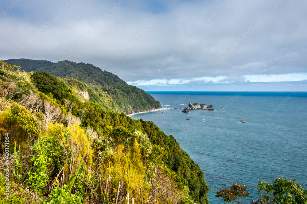 Remote rocky coast. South Island, New Zealand.