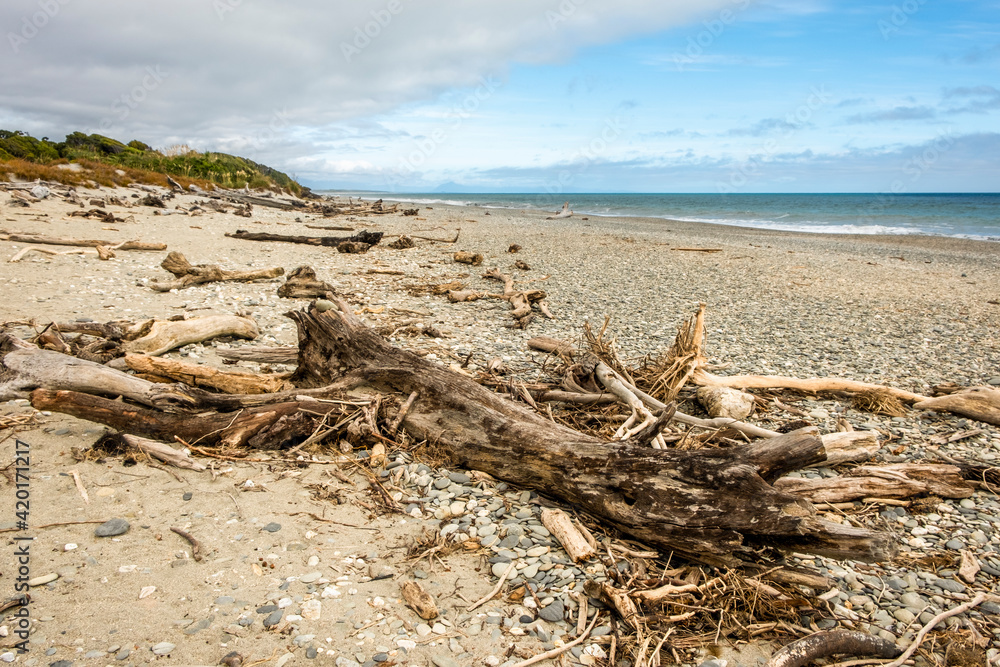 Dead trees on a remote beach. South stand, New Zealand.