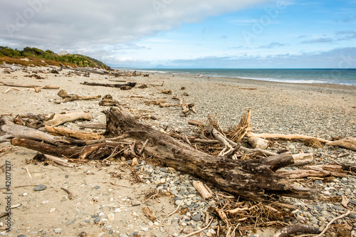 Dead trees on a remote beach. South stand, New Zealand. © Dmitri
