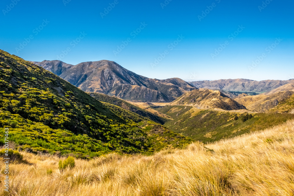 Alpine grassland with mountains on the background. West Coast, New Zealand.