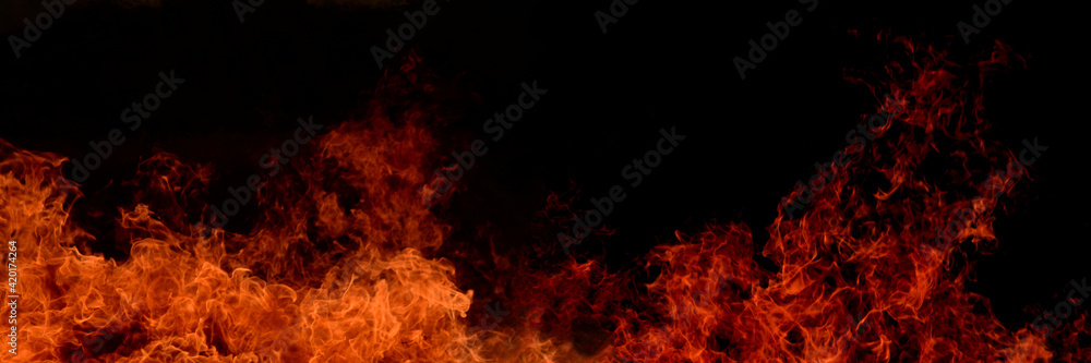 Flame of fire on a black background  