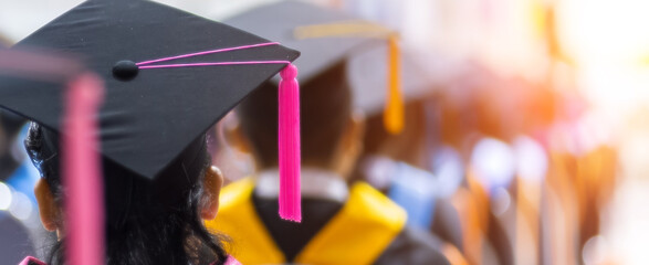 Rear view of graduated student in academic gown and graduation cap