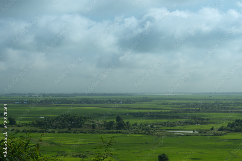 a panorama of paddy field in Rakhine state, Myanmar a panorama of paddy field in Rakhine state, Myanmar