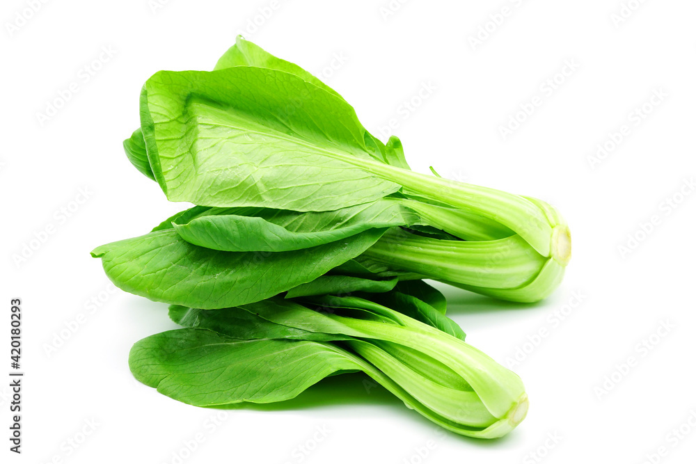 Green vegetable (Bok Choy) isolated on white background. Clipping path. Green vegetable (Bok Choy) isolated on white background. Clipping path.
