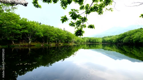 知床五湖の四湖,パン映像