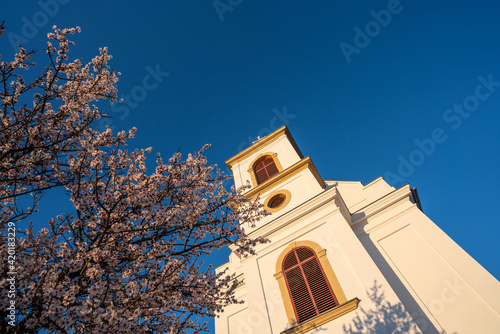 Small chapel with almond tree photo