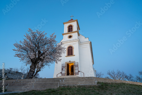 Small chapel with almond tree photo