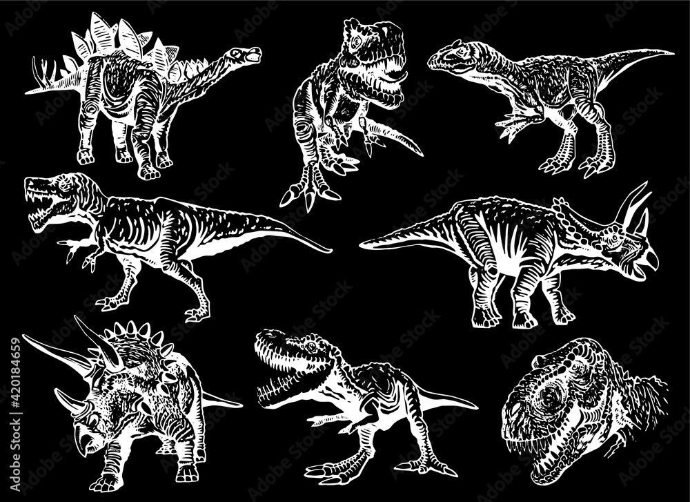 Fototapeta Vector big set of dinosaurs on black background,illustration,elements