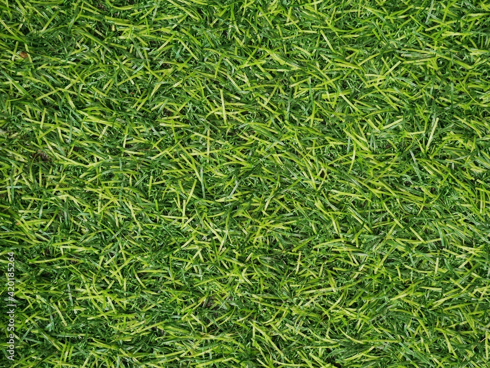 Texture of bright green artificial grass can use for background and design. Texture of bright green artificial grass can use for background and design.