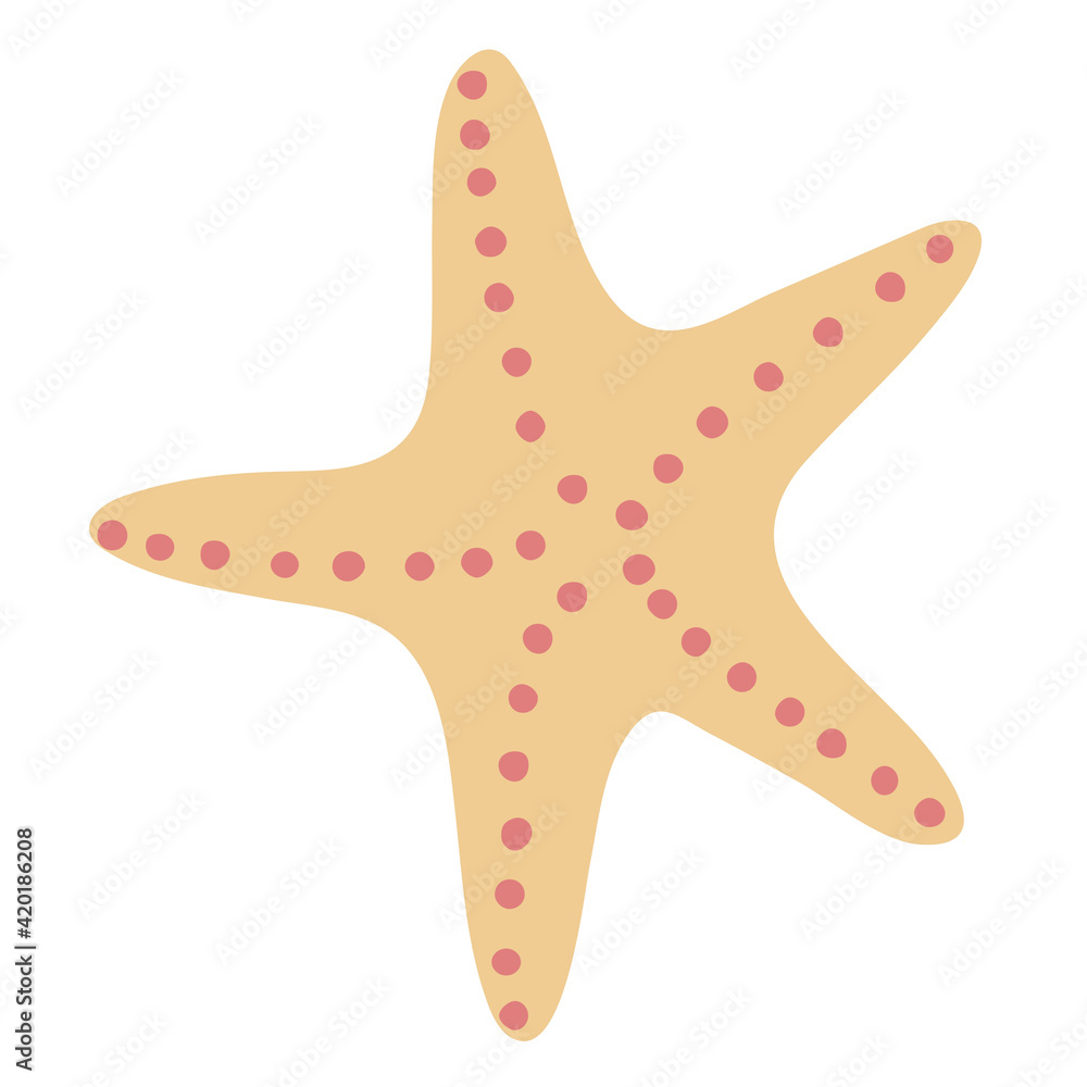 Starfish. A star living in the sea. Vector illustration. Isolated object, element on a white background Starfish. A star living in the sea. Vector illustration. Isolated object, element on a white background