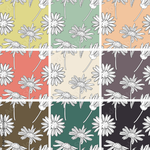 Set of 9 Bellis perennis, Chamomile, Daisy flower Outlined Botanical Seamless Patterns