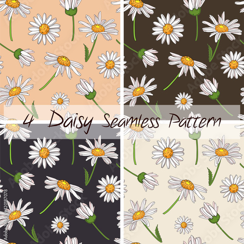 Set of 9 Bellis perennis, Chamomile, Daisy flower, White Botanical Outlined Seamless Patterns