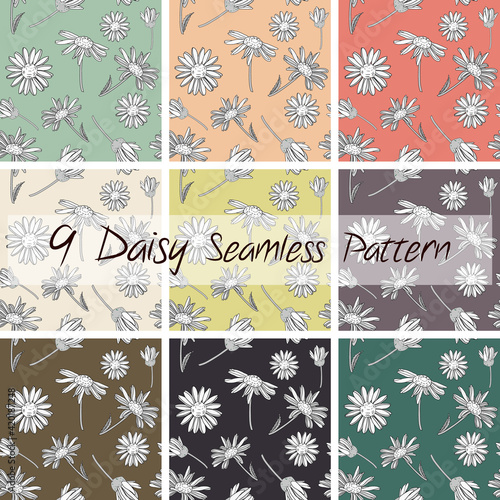 Set of 9 Bellis perennis, Chamomile, Daisy flower, White Botanical Outlined Seamless Patterns