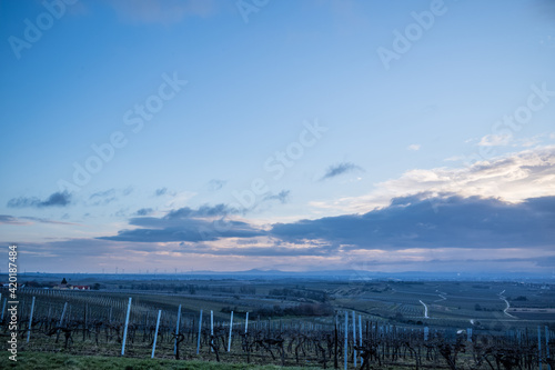 palatinate blue hour