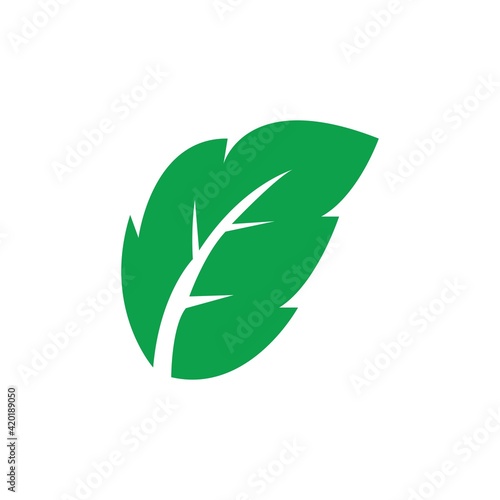 Leaf Logo Vector Illustration Business